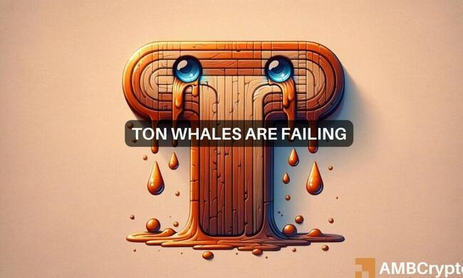 Las ballenas acuden en masa a Toncoin a pesar de los riesgos de precios: ¿cuál es su decisión?