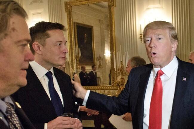 No Crypto Discussions With Donald Trump, Elon Musk Confirms