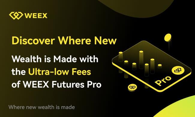Discover Where New Wealth is Made with the Ultra-low Fees of WEEX Futures Pro