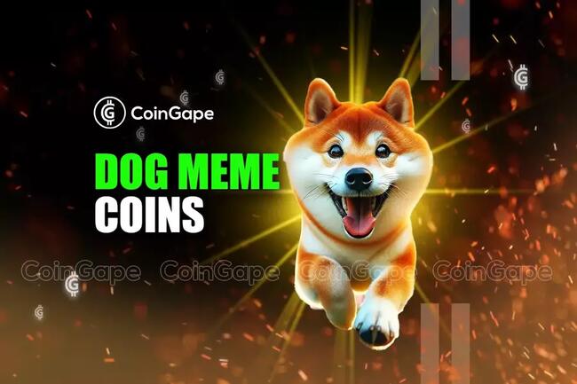 Ditch The Overhyped Dog Meme Coins & Buy These Cryptos For High Gains Today