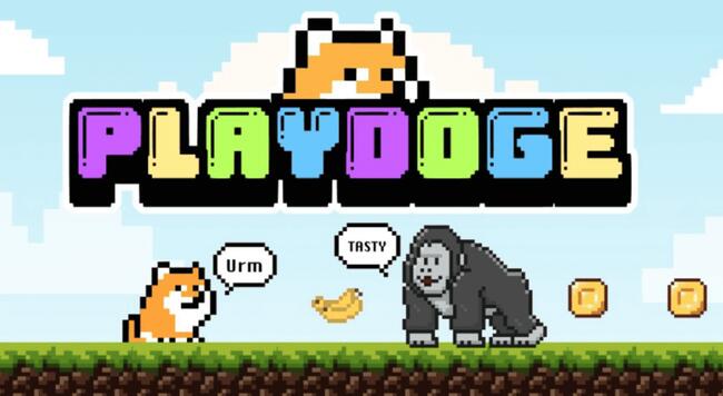 PlayDoge, o nouă monedă meme, adună 200.000 de dolari în prevânzare
