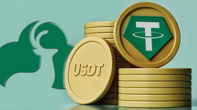 Bitdeer Announces $100 Million Investment From Tether
