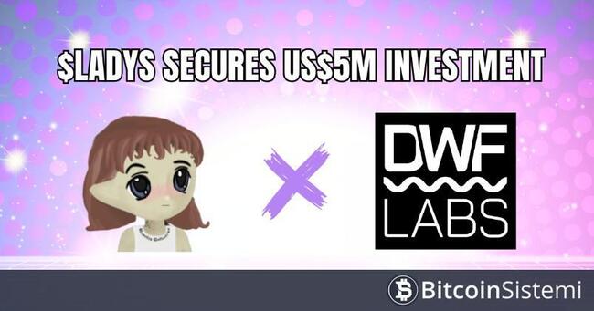 Milady Meme Coin, DWF Labs’tan 5 Milyon Dolar Yatırım Aldı