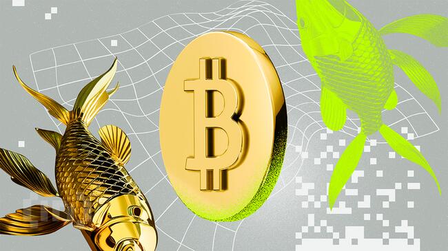 Bitcoin stanie się warty tyle ile 3 kg złota, czyli 200 000 USD