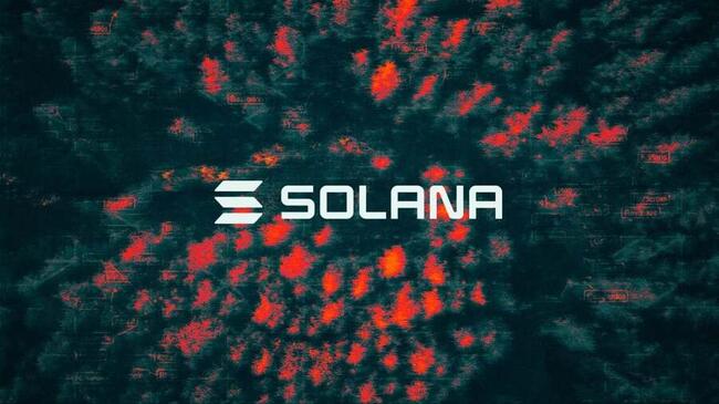 Solana saw nearly half a million tokens launched last month