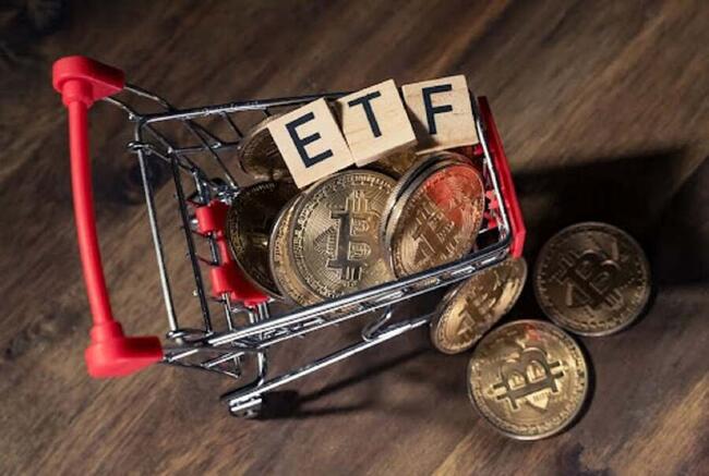 ETF Bitcoin Mendorong BlackRock dan Fidelity ke Arus Masuk ETF Teratas pada Tahun 2024