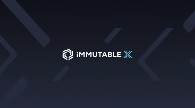 What is Immutable X Coin?