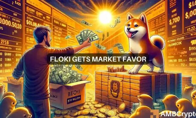 FLOKI: Will a $12M investment set the stage for a bull run?