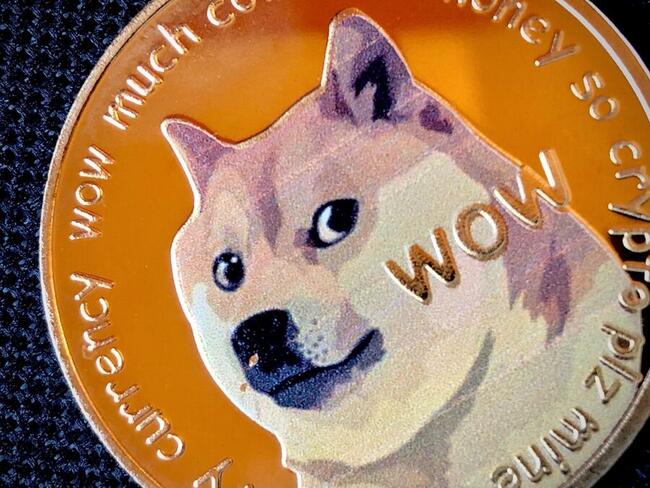 Crypto analist: Dogecoin kan snel 1 dollar waard worden
