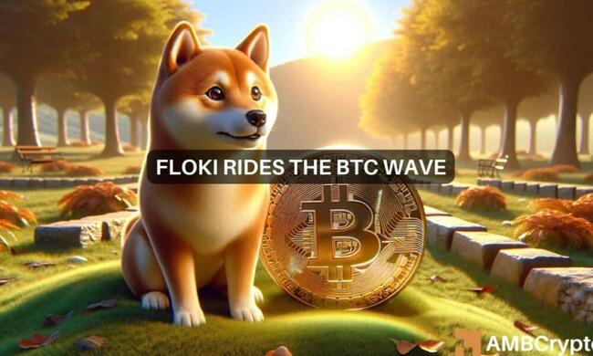 Floki sube un 23% tras el salto de Bitcoin por encima de los 70.000 dólares: ¿qué sigue?
