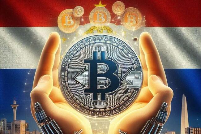 Regulation of Bitcoin Mining in Paraguay: Transparency and Electrical Security
