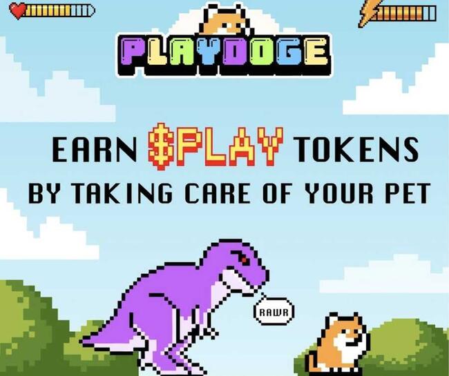 اكتتاب عملة الميم PlayDoge يتخطى 1.7 مليون دولار بعد جمعه 200,000$ خلال أسبوع واحد