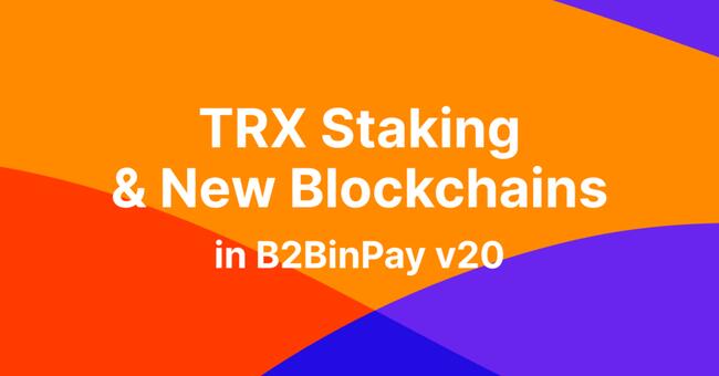 B2BinPay Streamlines Earnings and Expands Your Blockchain Universe