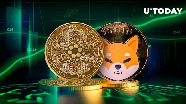Shiba Inu (SHIB) and Cardano Explode with Whale Activity