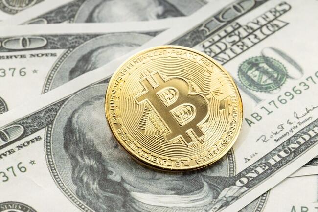 Nach Festnahme: "Bitcoin Jesus" Roger Ver auf Kaution frei