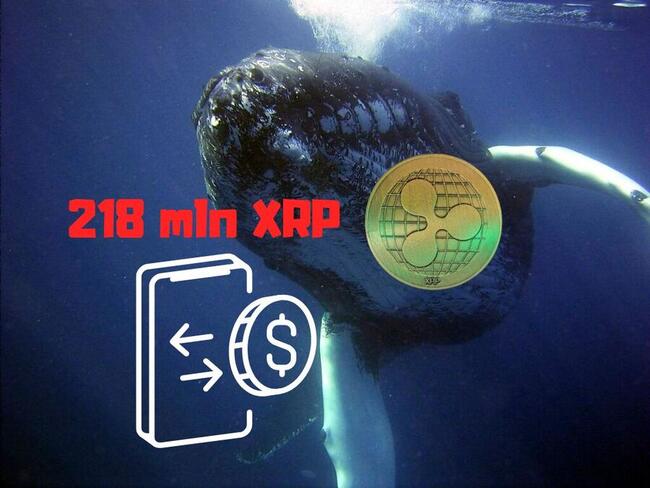 Ripple czeka kolejna rewolucja? Wieloryby masowo transferują XRP
