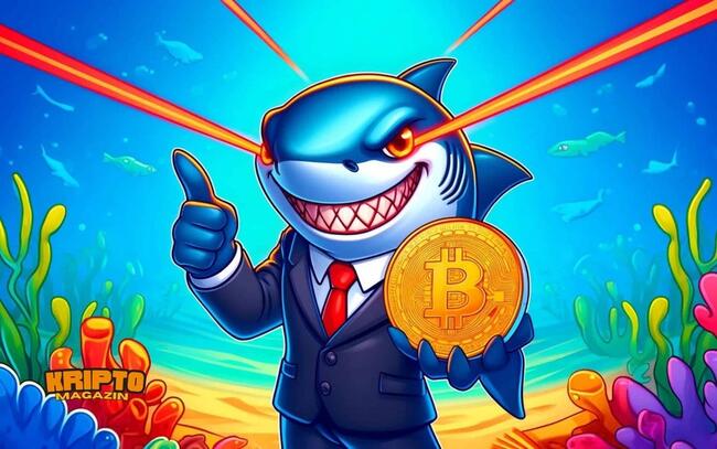 Bitcoin: A bálnáké a kínálat 40 százaléka, ezek a kockázatok