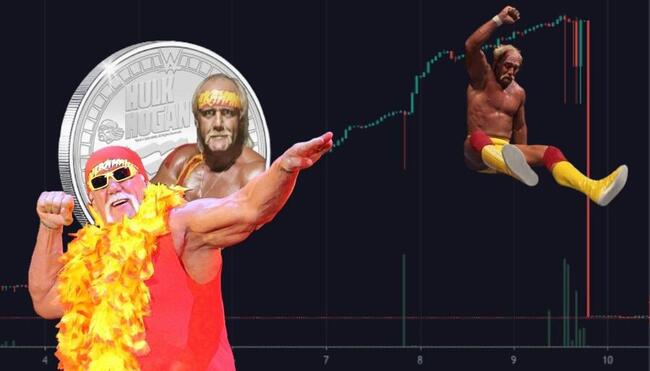 อดีตนักมวยปล้ำดัง “Hulk Hogan” ถูกกล่าวหาว่า Pump & Dump เหรียญมีมบนเชน Solana