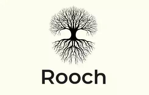 Rooch Network：比特币的原生应用层与未来生态构建者