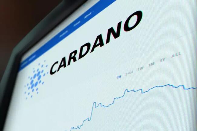 Założyciel Cardano rozczarowany krytyką. „Nie zasługujemy na to. To żałosne”