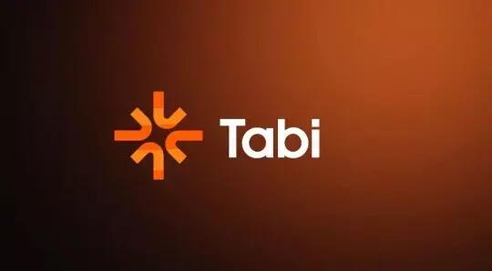 解读 Tabi Chain 公售：荷兰拍 + 退款机制下的多元收益策略