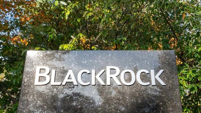 Фонды ETF зафиксировали рост в течение 18 дней: активы Blackrock в биткоинах превысили 300 000