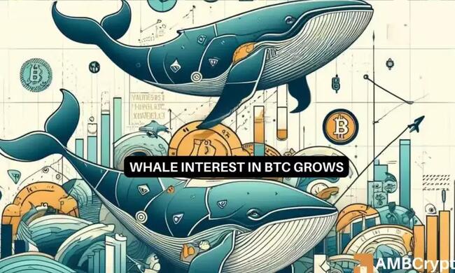 Bitcoin: acumulación récord de BTC por parte de las ballenas, ¿seguirán los precios?