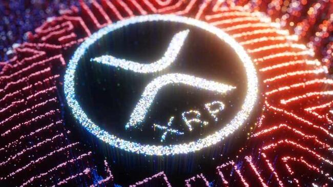 Генеральный директор Ripple ожидает, что SEC одобрит спотовый ETF на XRP в следующем году