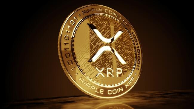 Kripto Piyasasında Endişe Yaratan Ripple Söylentisi! Balinalar XRP Alternatifi Bu Coinlere Yöneliyor