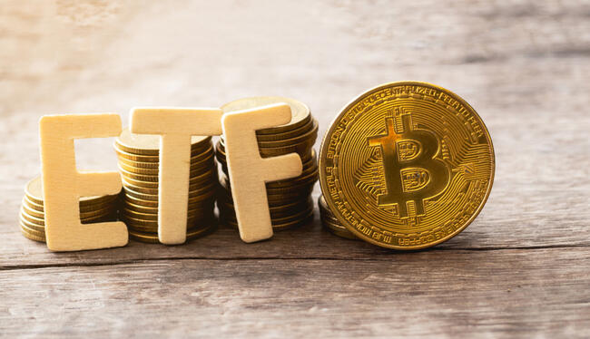 ETFs de Bitcoin quebram sequência de 19 dias de entradas e têm saídas de US$ 65 milhões