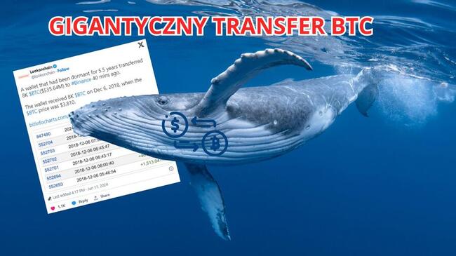 Wieloryb Bitcoina przełamuje ciszę. Przelał 8 000 BTC po 5 latach uśpienia