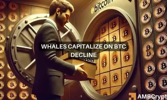 Bitcoin: las ballenas hacen una arriesgada apuesta de 1.300 millones de dólares mientras el BTC cae