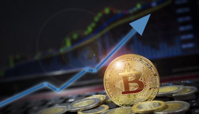 Bernstein eleva projeção e vê Bitcoin em US$ 200 mil até 2025