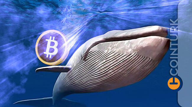 Bitcoin’de Balinalar Uyandı: Analistten Uyarı Geldi!