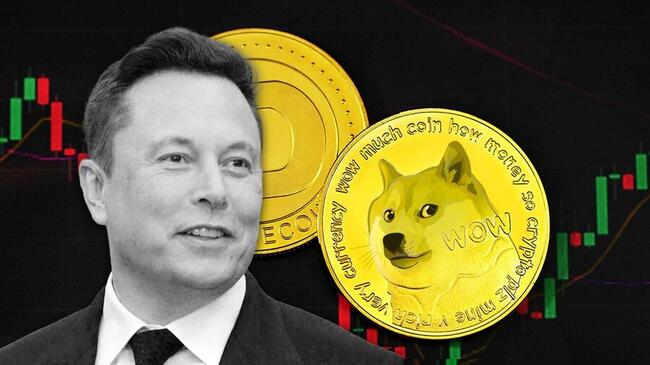 Người sáng lập Cardano: Elon Musk có thể nắm giữ 20% nguồn cung Dogecoin