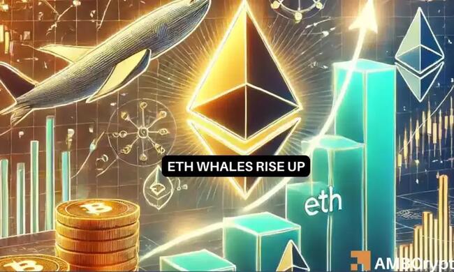 ¿Crecerá el precio de Ethereum a medida que aumente el interés de las ballenas?