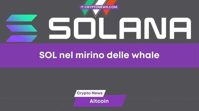 Previsione Solana: Whale movimenta oltre $500 milioni in SOL