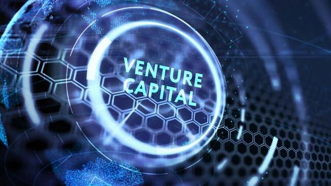 Krypto-Sektor sichert sich 317 Mio. $ an Venture-Capital-Deals Anfang Juni