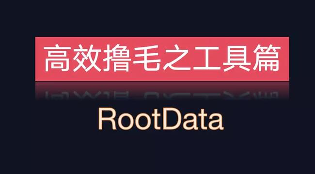 我如何用 RootData 来撸毛？