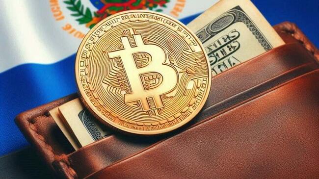 Il principale sviluppatore di Wasabi Wallet: ‘Gli sviluppatori di Bitcoin stanno deludendo El Salvador’
