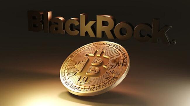 BlackRock-Chef nennt Bitcoin einen sicheren Hafen in wirtschaftlichen Turbulenzen