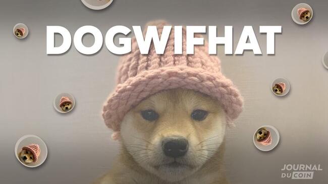Memecoin : Temps de chien pour le Dogwifhat (WIF) en chute de 38 %