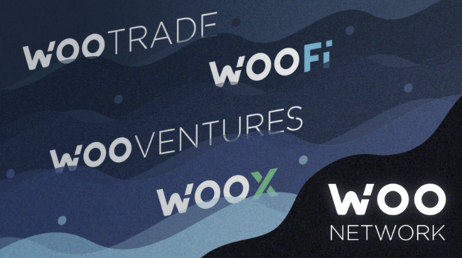 What is Woo Network Coin?