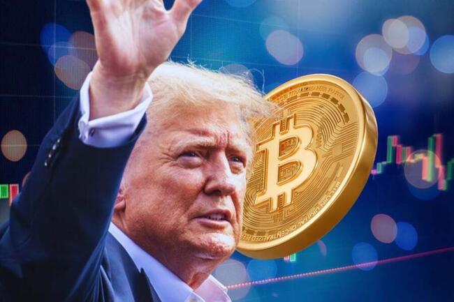 TRUMP Leads PoliFi Meme Coin Rebound, DJT, BODEN, TREMP Also Rally Over 25%