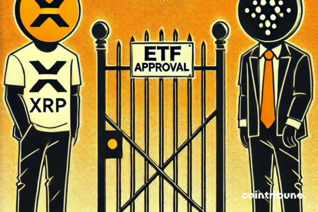 Crypto : Les ETF XRP et Cardano ne sont pas près de voir le jour