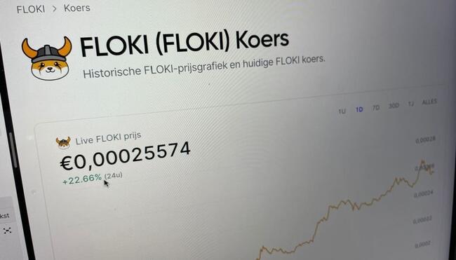 Namaak FLOKI-tokens in omloop: Waarschuwing voor investeerders