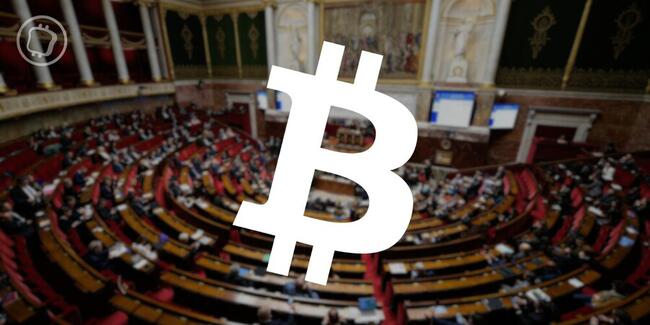 Législatives : Les résultats de la candidature Bitcoin d'Aurore Galves vont « au-delà des espérances »
