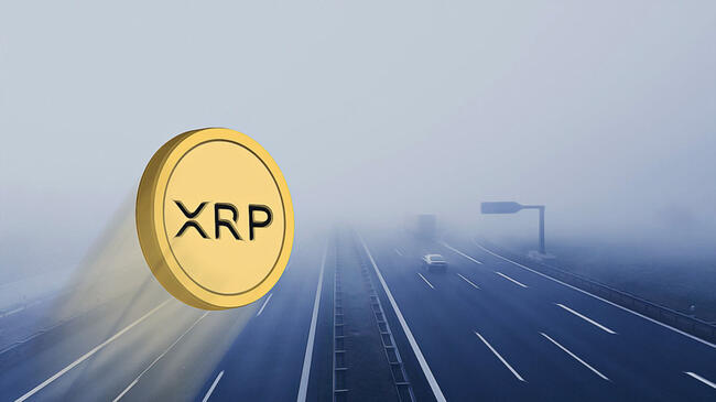 El CEO de Ripple Especula sobre un Potencial ETF de XRP