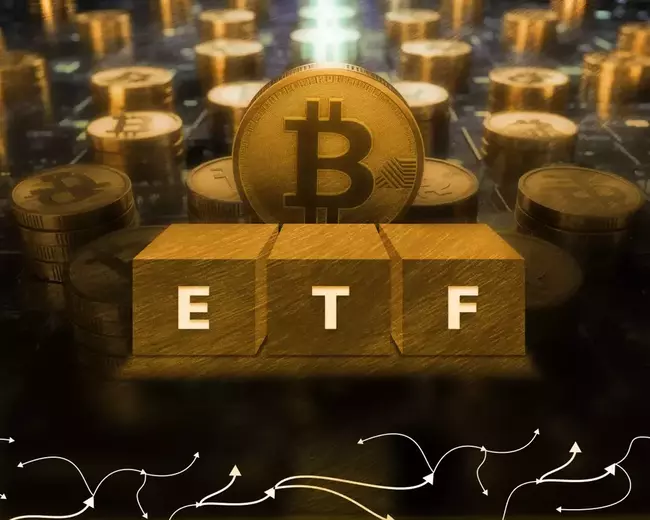 Серия поступлений в биткоин-ЕTF продолжилась пятый день подряд