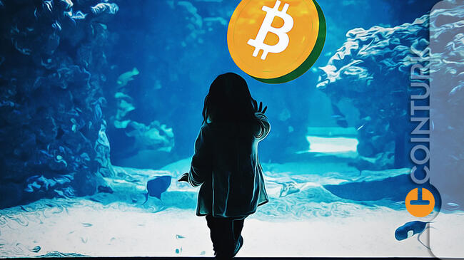 Uzman İsimden Flaş Çıkış: Bitcoin ve Kripto Para Tavsiyesini Duyurdu